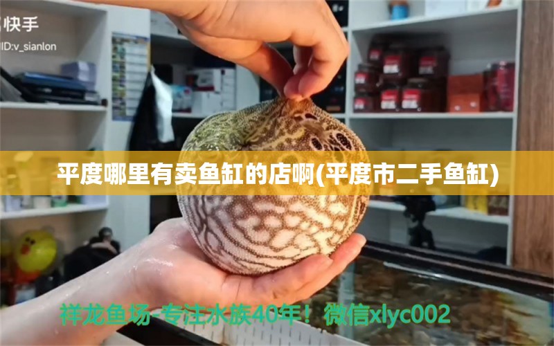 平度哪里有卖鱼缸的店啊(平度市二手鱼缸) 胭脂孔雀龙鱼