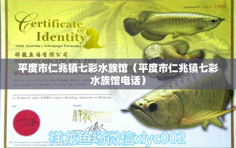 平度市仁兆镇七彩水族馆（平度市仁兆镇七彩水族馆电话） 全国水族馆企业名录