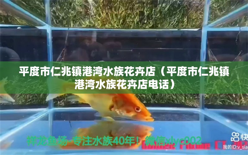 平度市仁兆镇港湾水族花卉店（平度市仁兆镇港湾水族花卉店电话）