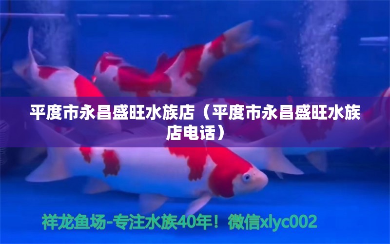 平度市永昌盛旺水族店（平度市永昌盛旺水族店电话） 全国水族馆企业名录