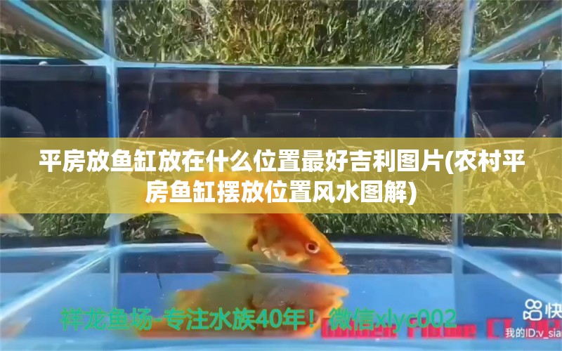 平房放鱼缸放在什么位置最好吉利图片(农村平房鱼缸摆放位置风水图解) 鱼缸风水 第1张