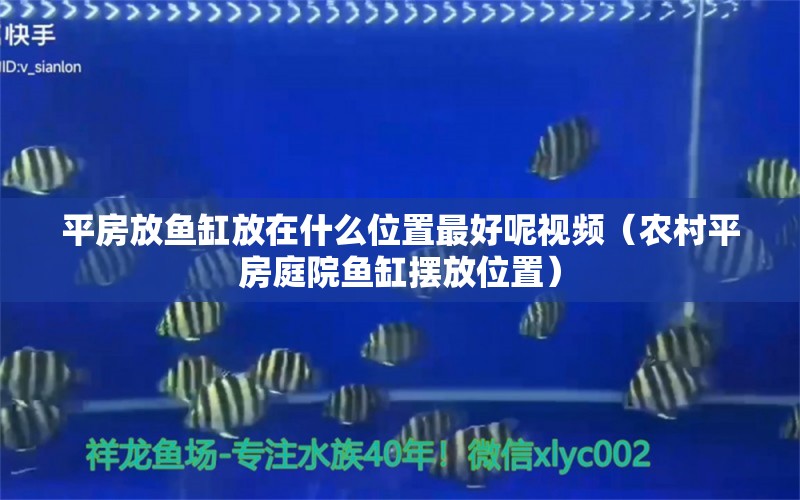 平房放鱼缸放在什么位置最好呢视频（农村平房庭院鱼缸摆放位置）