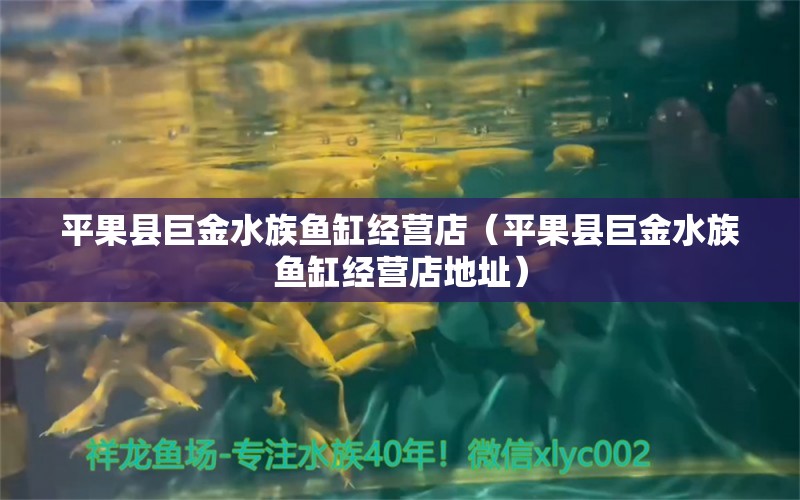 平果县巨金水族鱼缸经营店（平果县巨金水族鱼缸经营店地址） 全国水族馆企业名录