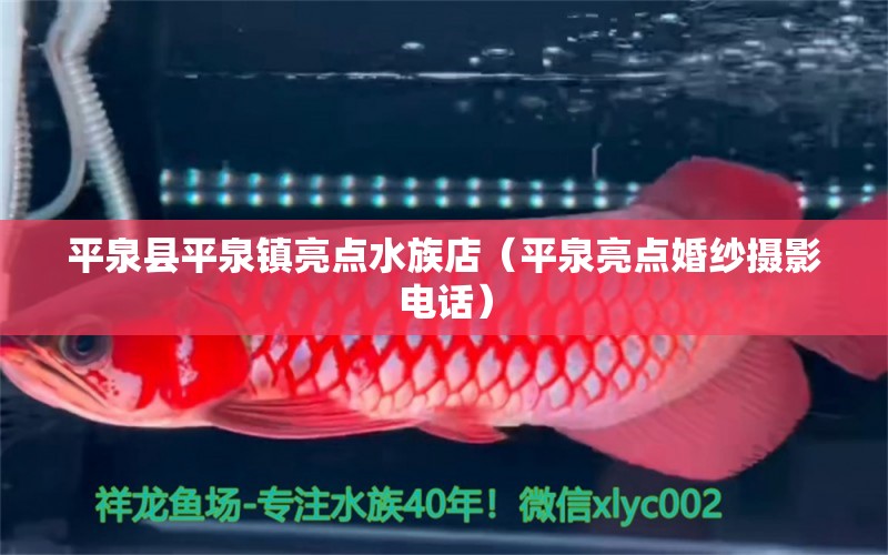 平泉县平泉镇亮点水族店（平泉亮点婚纱摄影电话） 全国水族馆企业名录