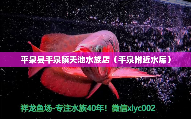 平泉县平泉镇天池水族店（平泉附近水库） 全国水族馆企业名录