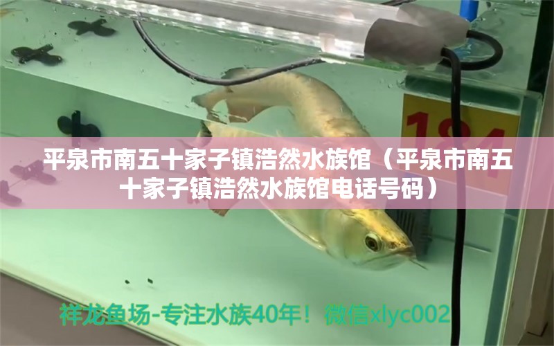 平泉市南五十家子镇浩然水族馆（平泉市南五十家子镇浩然水族馆电话号码）