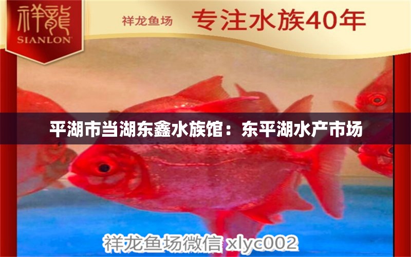 平湖市当湖东鑫水族馆：东平湖水产市场 全国水族馆企业名录