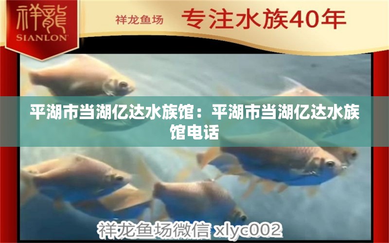 平湖市当湖亿达水族馆：平湖市当湖亿达水族馆电话