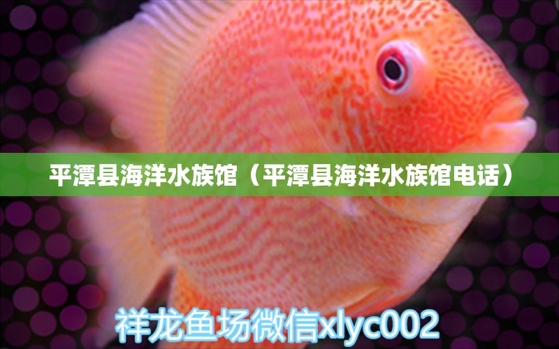 平潭县海洋水族馆（平潭县海洋水族馆电话）