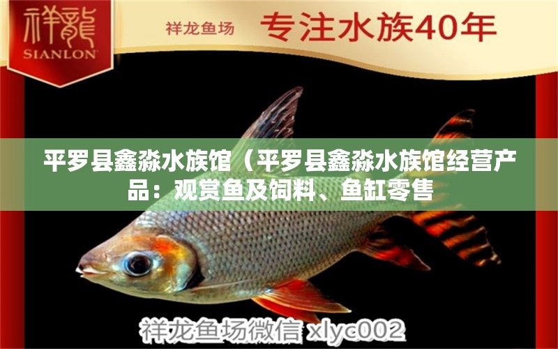 平罗县鑫淼水族馆（平罗县鑫淼水族馆经营产品：观赏鱼及饲料、鱼缸零售 全国观赏鱼市场 第2张