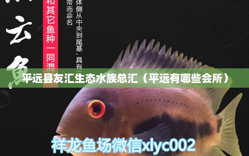 平远县友汇生态水族总汇（平远有哪些会所）