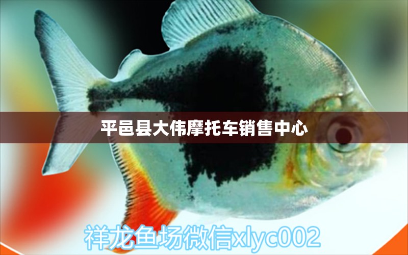 平邑县大伟摩托车销售中心 全国水族馆企业名录