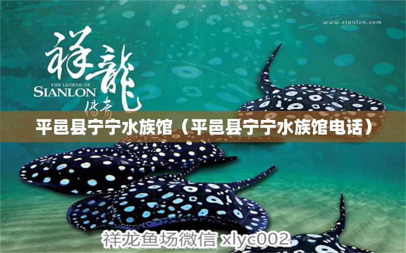 平邑县宁宁水族馆（平邑县宁宁水族馆电话） 全国水族馆企业名录