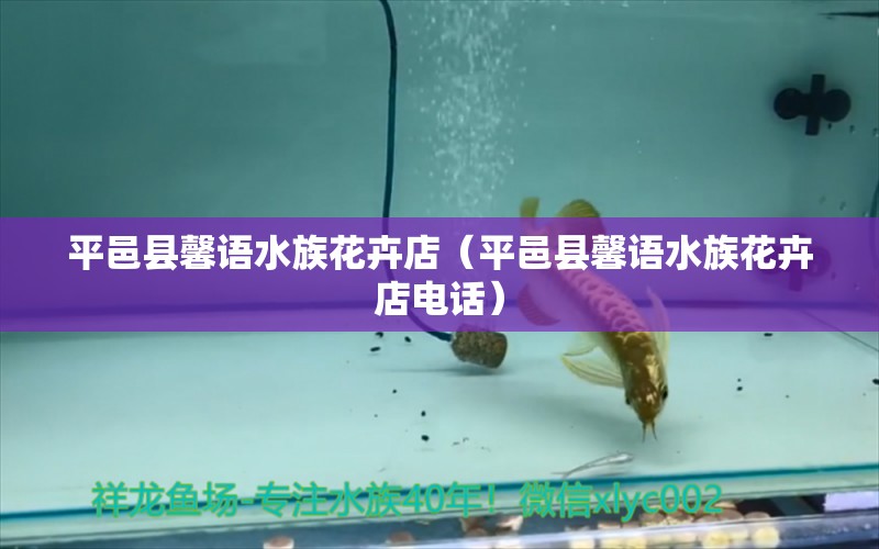 平邑县馨语水族花卉店（平邑县馨语水族花卉店电话） 全国水族馆企业名录