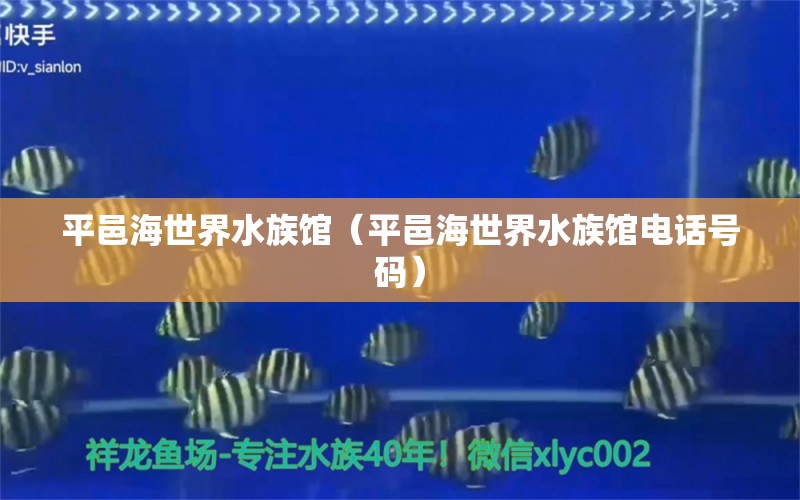 平邑海世界水族馆（平邑海世界水族馆电话号码）