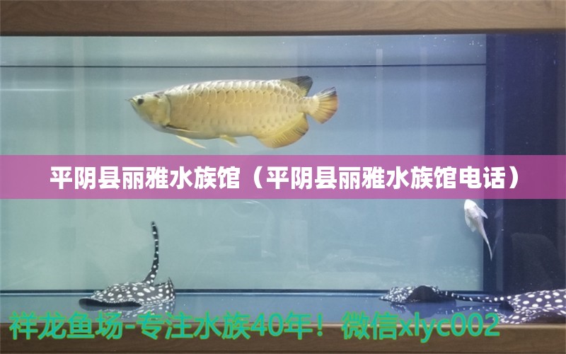 平阴县丽雅水族馆（平阴县丽雅水族馆电话）