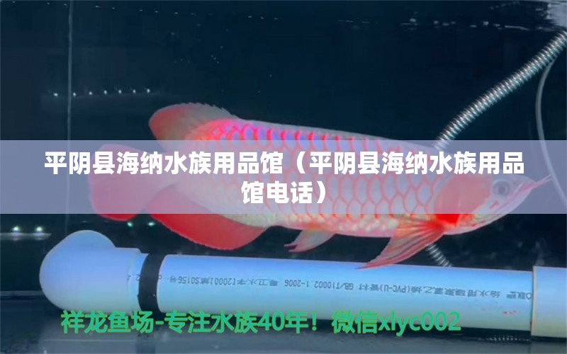 平阴县海纳水族用品馆（平阴县海纳水族用品馆电话）