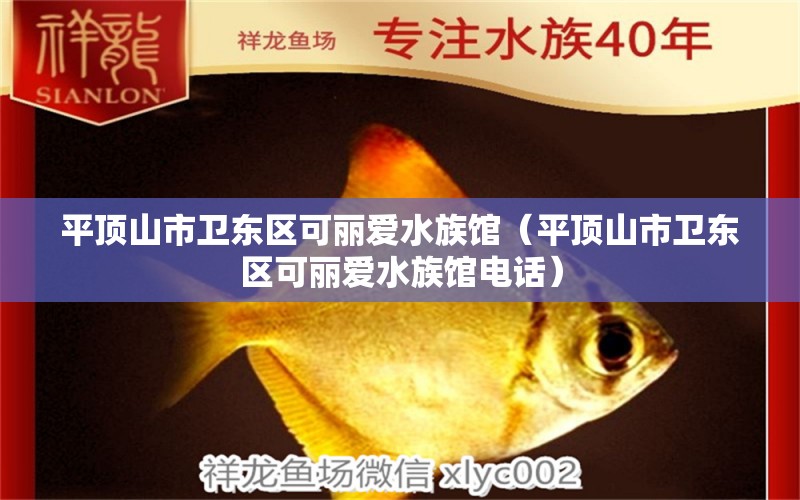 平顶山市卫东区可丽爱水族馆（平顶山市卫东区可丽爱水族馆电话）