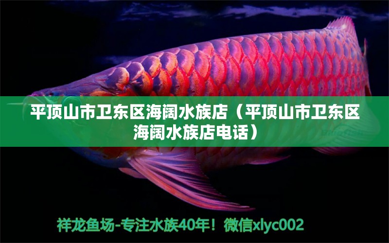 平顶山市卫东区海阔水族店（平顶山市卫东区海阔水族店电话） 全国水族馆企业名录