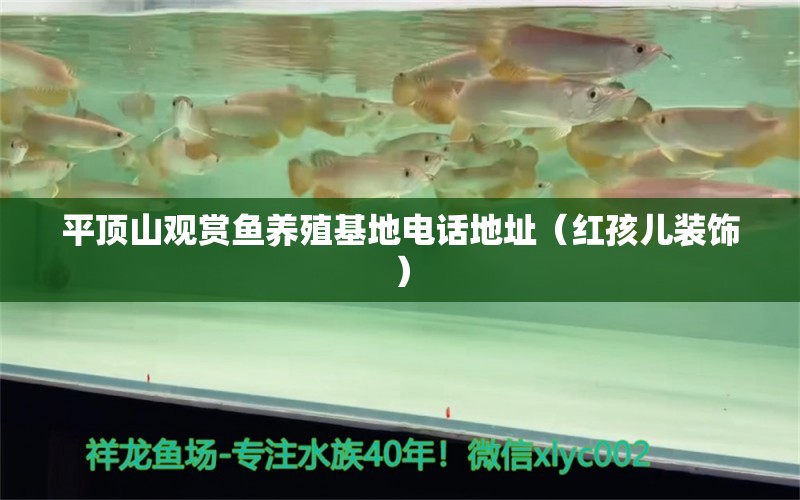 平顶山观赏鱼养殖基地电话地址（红孩儿装饰） 广州水族批发市场 第1张