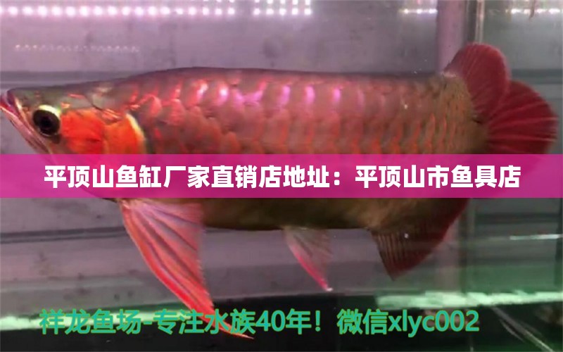 平顶山鱼缸厂家直销店地址：平顶山市鱼具店 广州水族批发市场 第2张