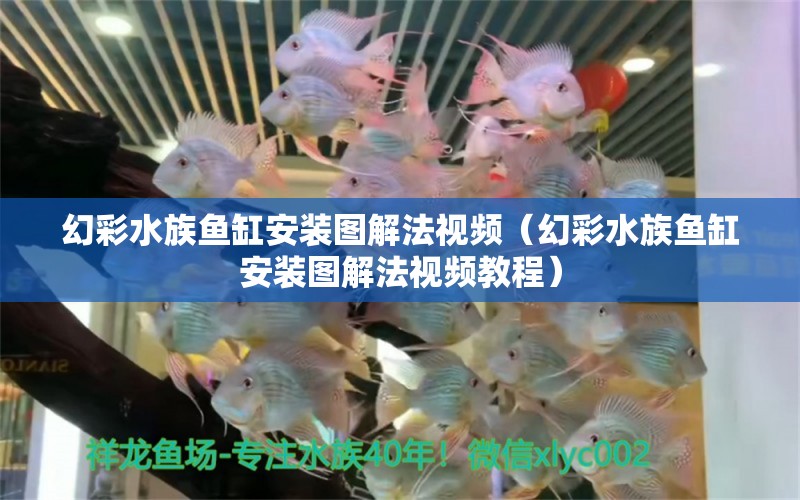 幻彩水族鱼缸安装图解法视频（幻彩水族鱼缸安装图解法视频教程） 三间鼠鱼苗