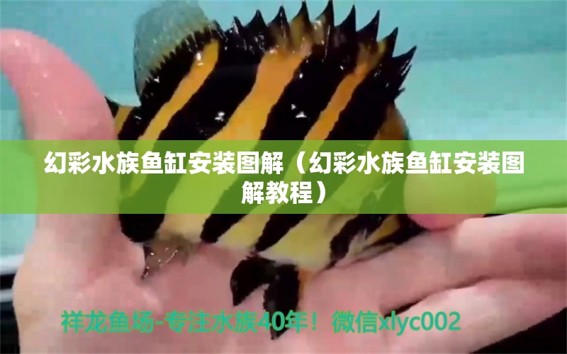 幻彩水族鱼缸安装图解（幻彩水族鱼缸安装图解教程） 南美异型鱼