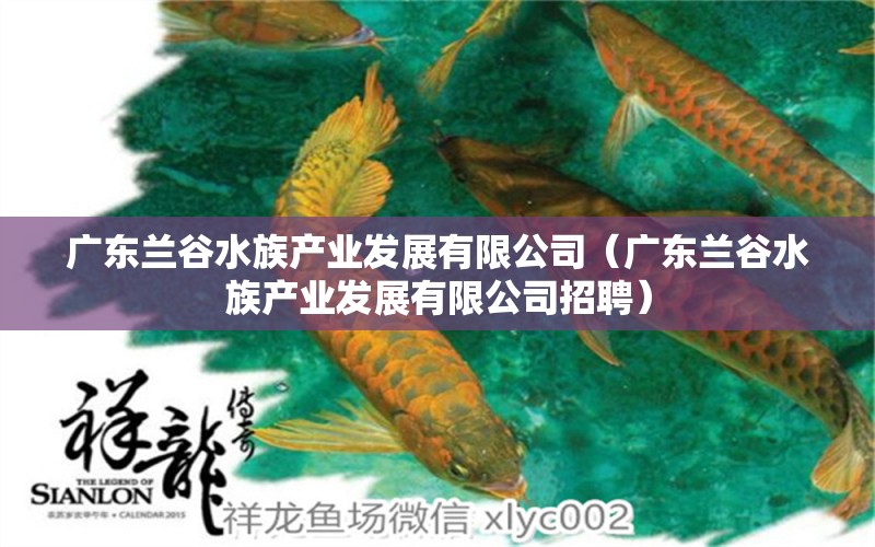 广东兰谷水族产业发展有限公司（广东兰谷水族产业发展有限公司招聘）