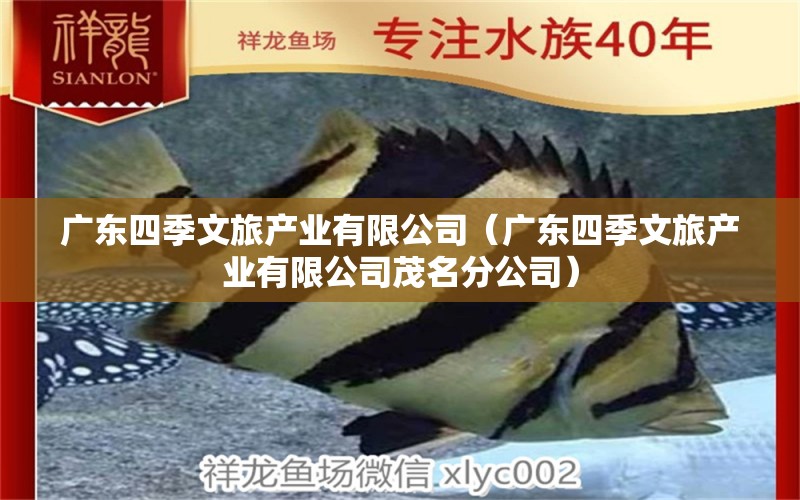 广东四季文旅产业有限公司（广东四季文旅产业有限公司茂名分公司）