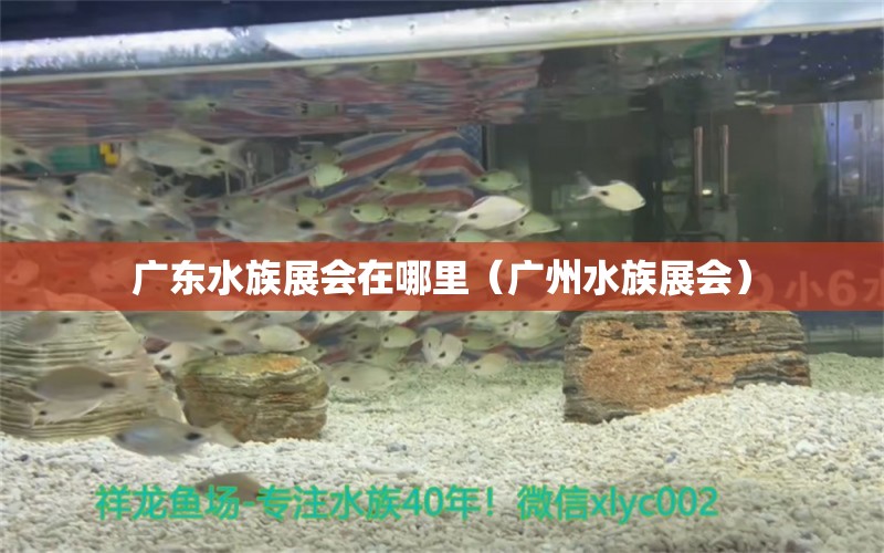 广东水族展会在哪里（广州水族展会） 水族展会