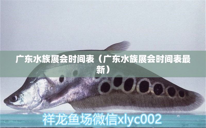 广东水族展会时间表（广东水族展会时间表最新） 水族展会