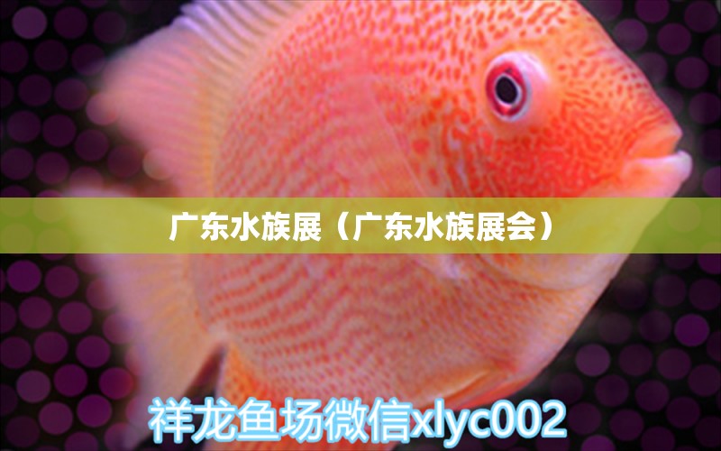 广东水族展（广东水族展会）