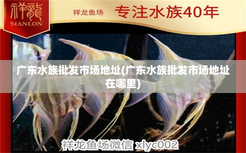 广东水族批发市场地址(广东水族批发市场地址在哪里) 观赏鱼水族批发市场