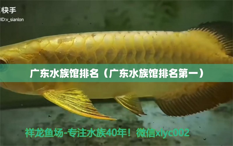 广东水族馆排名（广东水族馆排名第一）