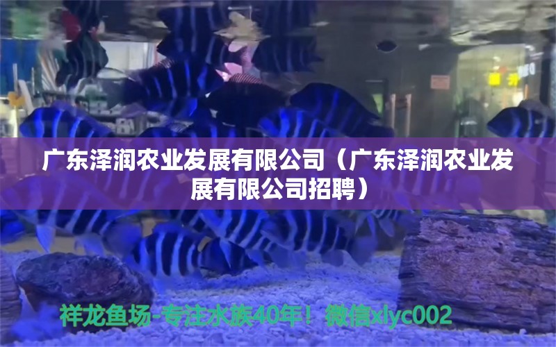 广东泽润农业发展有限公司（广东泽润农业发展有限公司招聘） 全国水族馆企业名录