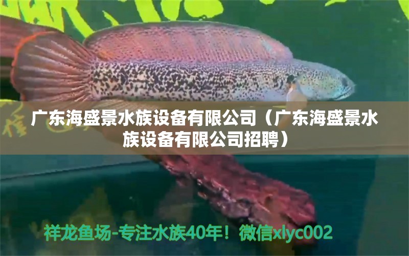 广东海盛景水族设备有限公司（广东海盛景水族设备有限公司招聘）