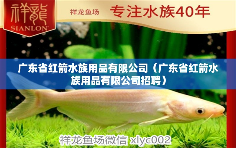 广东省红箭水族用品有限公司（广东省红箭水族用品有限公司招聘）