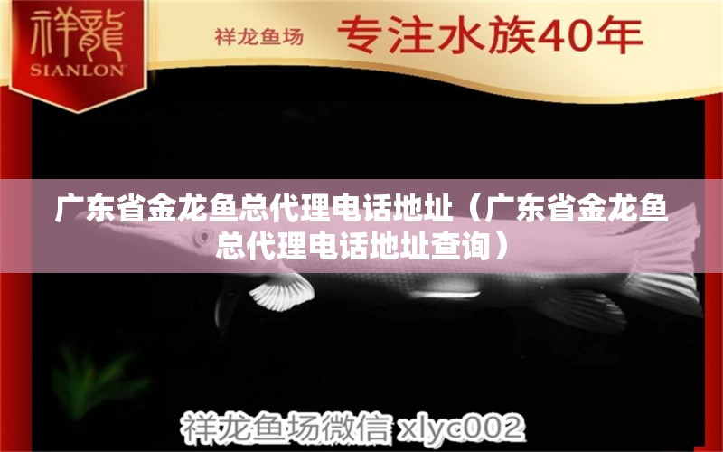 广东省金龙鱼总代理电话地址（广东省金龙鱼总代理电话地址查询） 祥龙水族医院