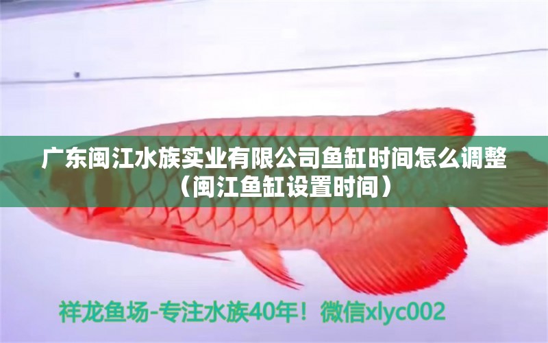 广东闽江水族实业有限公司鱼缸时间怎么调整（闽江鱼缸设置时间） 观赏鱼市场（混养鱼）
