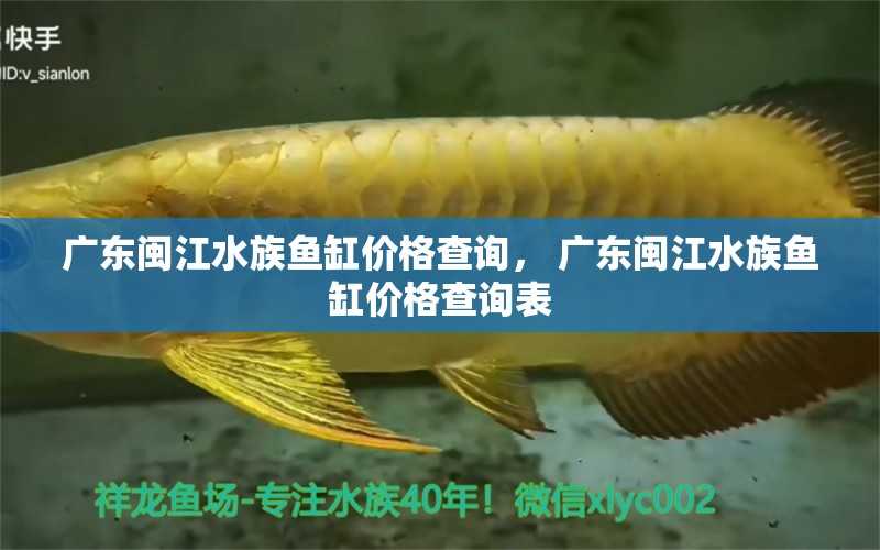 广东闽江水族鱼缸价格查询， 广东闽江水族鱼缸价格查询表