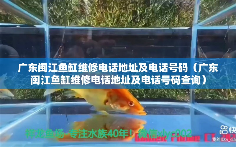 广东闽江鱼缸维修电话地址及电话号码（广东闽江鱼缸维修电话地址及电话号码查询）