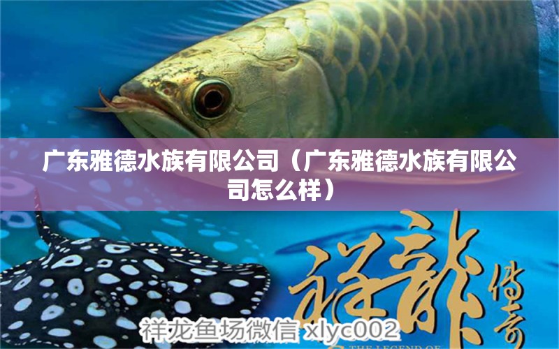 广东雅德水族有限公司（广东雅德水族有限公司怎么样）