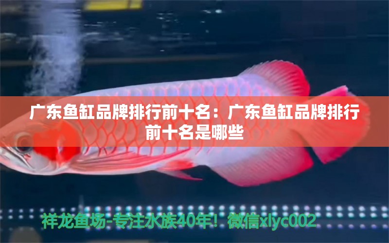 广东鱼缸品牌排行前十名：广东鱼缸品牌排行前十名是哪些 广州水族批发市场