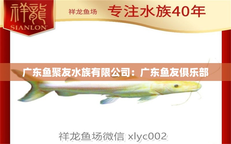 广东鱼聚友水族有限公司：广东鱼友俱乐部