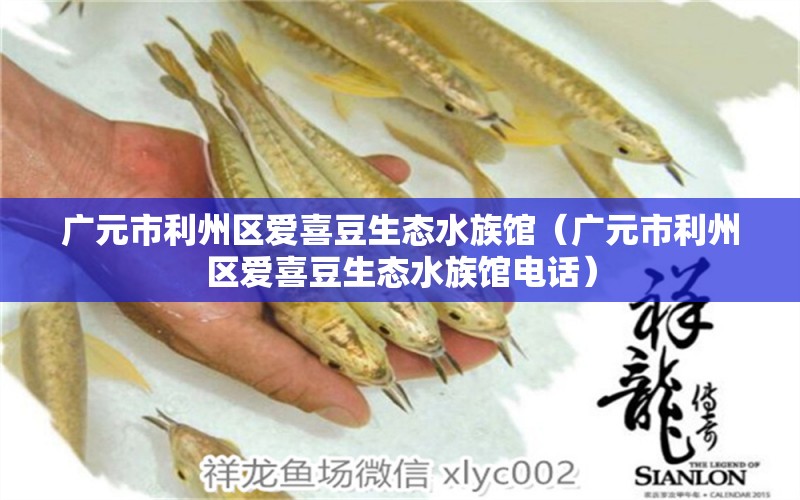 广元市利州区爱喜豆生态水族馆（广元市利州区爱喜豆生态水族馆电话） 全国水族馆企业名录