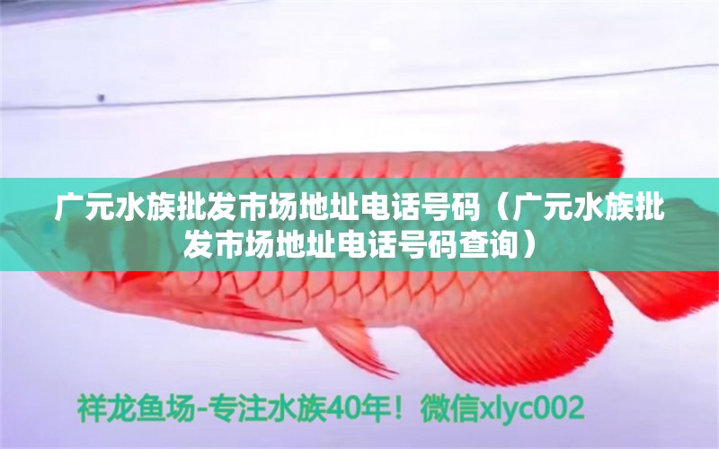 广元水族批发市场地址电话号码（广元水族批发市场地址电话号码查询） 观赏鱼水族批发市场