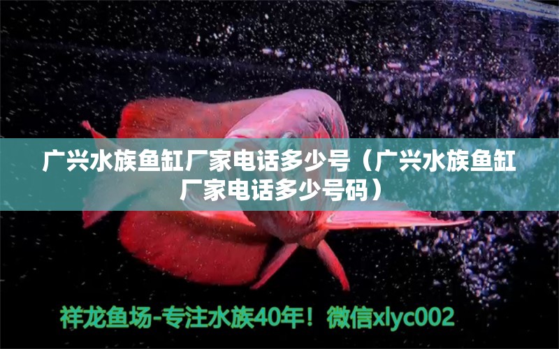 广兴水族鱼缸厂家电话多少号（广兴水族鱼缸厂家电话多少号码）