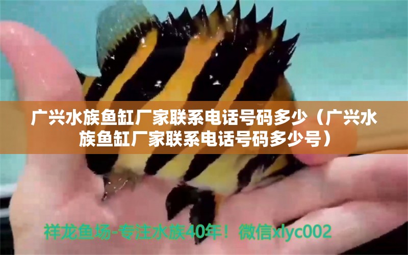 广兴水族鱼缸厂家联系电话号码多少（广兴水族鱼缸厂家联系电话号码多少号）