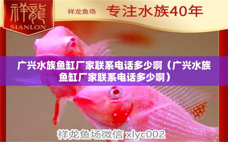 广兴水族鱼缸厂家联系电话多少啊（广兴水族鱼缸厂家联系电话多少啊）