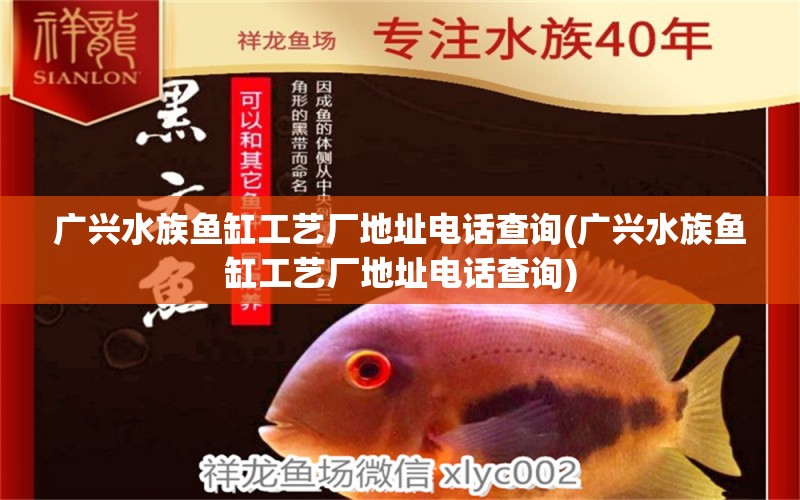 广兴水族鱼缸工艺厂地址电话查询(广兴水族鱼缸工艺厂地址电话查询) 帝王迷宫 第1张